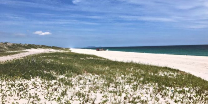 acao-social-praia-seca